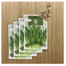 BFA 새싹씨앗 밀, 8개입