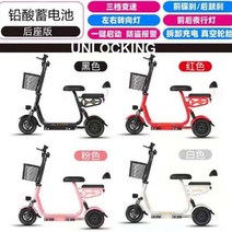 3륜바이크 노인 전동스쿠터 배달용 세발 농업용전동차 부모님 아버지 3륜바이크 전기 삼륜차 3발 오토바이, 48V, V뒷좌석 / 48V12A