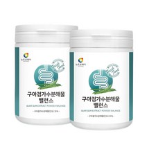 구아검 가수분해물 분말 프락토올리고당 구아검 가루 식이섬유 5곡분말 돼지감자추출분말 미네랄 혼합유산균 엽산 비오틴 베타글루칸 아연 어골칼슘 셀렌, 120g, 2통
