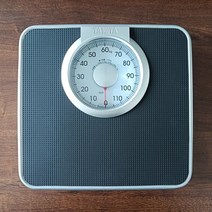체지방 체중계 샤오미 / 미스케일 반려동물 스마트 체중계 병원 인체 2세대 측정 체지방, 아날로그, B
