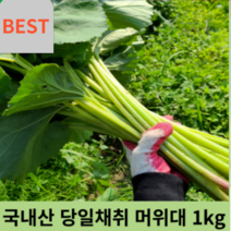 국산 국내산 머위대 1kg 당일 손질 채취 머위 줄기 머구 머윗대 나물 머윗대 산나물 신선 싱싱한 생 머위 나물, 500g