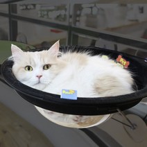 고양이창문해먹 고양이해먹 우주선 윈도우선반 투명, 핑크