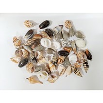 [소품팩토리]천연조개 펜턴트 감성 자개 모빌 만들기 썬캐쳐 diy 발리소품 드림캐쳐 목걸이 팔찌 재료, 조개펜던트 9개팩