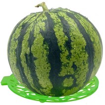 수박 받침대 호박 멜론 과수 받침대 빗살 무늬 받침 농업 용품