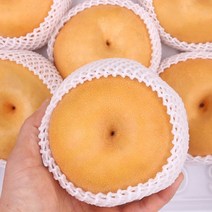나주 배선물세트 7.5kg 8~10과 팔팔마켓 과일 신고배