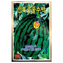 복중꿀수박씨앗 30알 수박 씨앗 종자