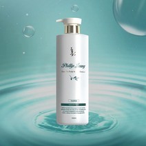 필립정 홍2 녹차스캘프 힐링샴푸 1000ml 두피탈모케어 탈모완화기능성, 샴푸 1000ml 1개