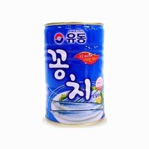 유동 꽁치 400g x10캔 / 조림 참치 고등어 김치 찌개, 10캔
