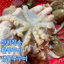 서해안 쭈꾸미 생물쭈꾸미 활쭈꾸미 1kg 2kg, 급냉쭈꾸미_1kg_15_20미