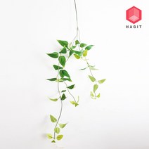 하지트 마크라메 월행잉 드림캐쳐 벽장식소품, 옵션1.올리비아 넝쿨