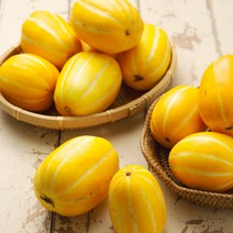 성주 햇 참외 고당도 꿀단지참외 가정용 흠집 소과 (5~7과) 1.5kg (기본포장), 단품