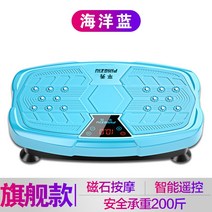 쉐이크보드 바디슬리머 음파 운동기 진동기 덜덜이, 플래그십 / 200kg 하중 / 오션 블루