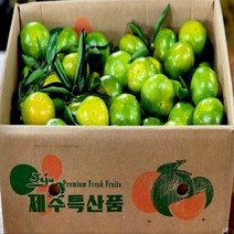 탐라인 제주 조생 유라조생 극조생감귤 중과 귤한박스 3kg내외, 1box, 3kg