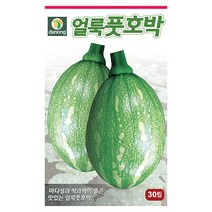 노각 오이 씨앗 50립 - 웰빙오이 늙은오이 오이씨앗 야채씨앗 채소씨앗 채소재배 종묘 종자 베란다 텃밭 씨 씨앗 호박 방울토마토 수박, 13_다농_얼룩 풋호박(30립)