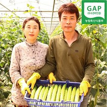 팔도명인 상주 백다다기 흑침 오이 오지이용 소박이용 백오이 20개 30개 40개 50개, 특등급 30개