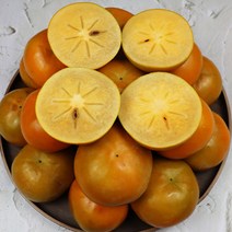 밀양 부유 단감 햇단감 저장단감 산지직송, 중 5Kg 24-26과
