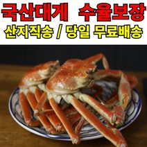 국산 대게 // 수율보장 포항 영덕 구룡포 대게 당일조업 당일발송, 국산 대게 대짜 3마리