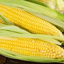 [냉동]달고나 꿀 초당옥수수, 냉동 초당무선별6개/못난이포함