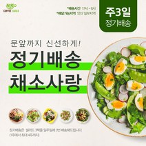 안산샐러드정기배송 2주X3일 6회 [ 안산샐러드 배달 ], 15시~16시, C