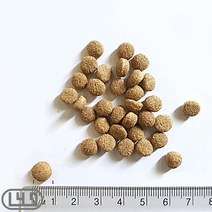 반려동물주식 중소형견 10kg 2묶음 비글 치와와 불독