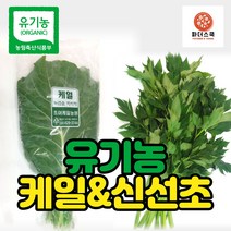 유기농 케일 신선초 친환경 녹즙재료 녹즙용 채소 클랜즈 주스용 샐러드용 농장 산지직송, 유기농케일1kg, 2개