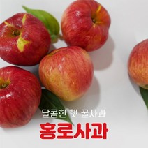 제철홍로사과 인기 순위 TOP100