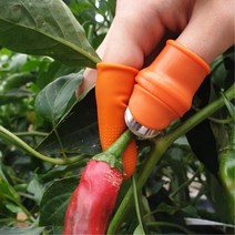 깻잎골무 고추칼 수확 엄지칼 채소따기 마늘손가락 체험학습 농작물 재배