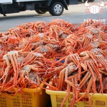 [구룡포 집게사장] 구룡포 연지홍게 3kg 자숙 박달 홍게, 프리미엄3kg(10~12미/수율80%이상)
