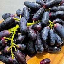 항공직송 블랙사파이어 포도 1kg 2kg 씨없는 거봉 스위트 가지포도, 고당도 블랙 사파이어 포도 2kg내외