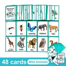 영어 카드 파닉스 단어 학습 카드 영어낱말 플래시 카드, Wild Animals 48Cards