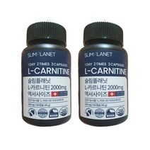 슬림플래닛 엘카르니틴 2000mg 엑서사이즈 90캡슐 2박스 423952