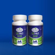 불가리아 직수입 오리지널 유산균 LB LACT 엘비락트 락토바실러스 불가리쿠스 프로바이오틱스 프리바이오틱스 신바이오틱스 유산균먹이, 2병/483mg/60캡슐