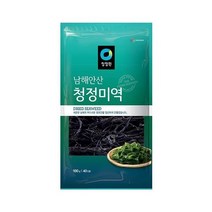 청정원 맛있는밑반찬 남해안산 청정 미역 40인분 맛있는 돌답례품 냉국 100g 간단한요리 간편식, 44개