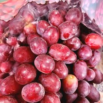고당도 프리미엄 크림슨포도 씨없는포도, 3.2kg, 4팩