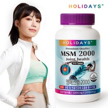 홀리데이즈 MSM 2000 210g, 1개, 210정
