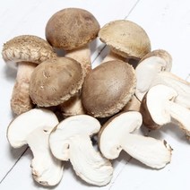 우체국 쇼핑 문경 송화 송화고 고기버섯 일반형 500g, 1개