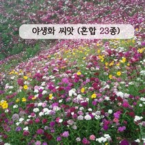 야생화 씨앗 혼합종자 23종모음 1kg 봄부터 가을까지 매년 아름다운 경관 연출, 1개