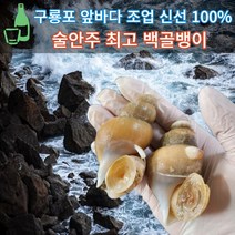 [구룡포앞바다선주직송] 마미템 구룡포 활 생물 백고동 대 중 소, 구룡포 백고동 (중) 500g, 1개
