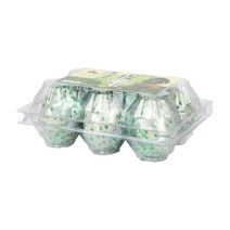 이팬트리 단풍 송화단 360g