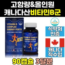 메가도스 고농축 비타민 B B1 B2 B5 B6 B9 B12 비군 티아민 리보플라빈 컴플렉스 고함량 판토텐산 피리독신 복합체 b6 직구 b군 b1 b9 b5 b b2 b12 효능