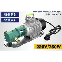 전기 기름 펌프 디젤 엔진 오일 식용유 유압 220V, 고점도 특수공업용 750W(15리터) 220V