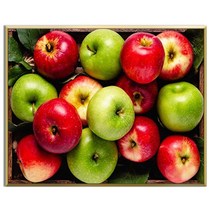 FASEN DIY 보석십자수 캔버스 형액자 세트 40 x 50cm, 40*50 cm, K008 청사과홍사과