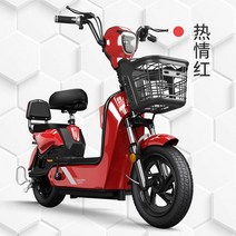 전기자전거 장거리 2륜 배터리 자전거, 23 20A 납산 National Lianbao Tia, 48V
