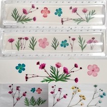 친절샵/ 누름꽃공예 아크릴자만들기c-a체험패키지단체수업 압화, 상세내용표시