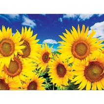 퍼즐코리아 맑은 하늘아래 노란 해바라기꽃 미니퍼즐 2000피스 직소퍼즐액자 PK2000-3228, 퍼즐만
