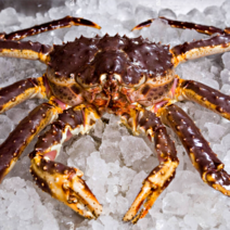 [금월크랩] 레드 킹크랩, 레드 활 킹크랩 2.4 ~2.6kg
