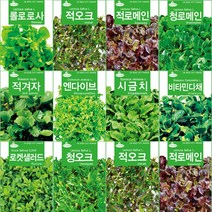 [씨앗모음] 배이비 채소 씨앗, 9_베이비적오크 3000립