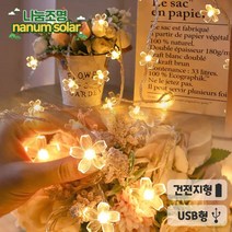 나눔조명 꽃송이 줄조명 캠핑 알전구 건전지 USB, 꽃송이 트리등 (USB형), 흰빛
