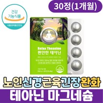 어르신 신경 근육 긴장 이완 테아닌 마그네슘 영양제 스트레스 감마오리자놀 긴장완화제 스트레스해소법 엘테아닌 L테아닌 긴장푸는법 30대 40대 50대 직장인 남자 여성 추천 편안한밤