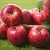 사과 경북사과 부사 못난이 꿀사과 5kg 10kg, 햇부사(중과)5kg 20과 내외